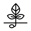 Diversified Capital Solution v2